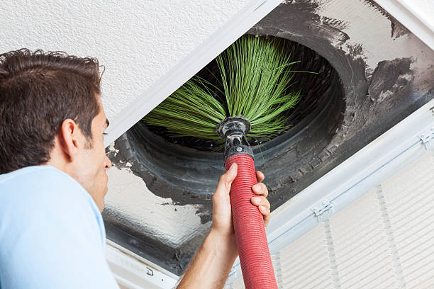 Best Best Air Duct Cleaning Near Me  in Williston, ND